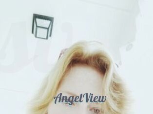 AngelView