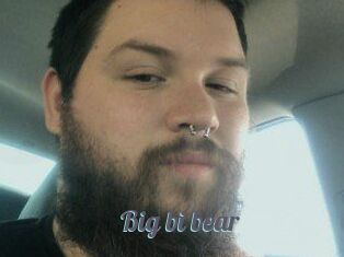 Big_bi_bear