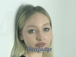 Breefudge