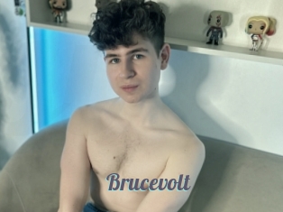 Brucevolt