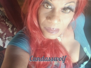 Candasswolf