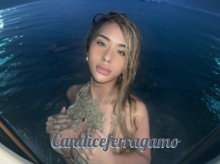 Candiceferragamo