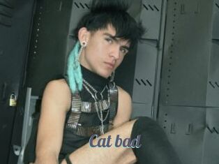 Cat_bad