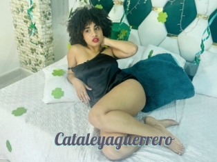 Cataleyaguerrero