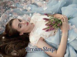 DreamSleep