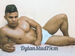 DylanStud19cm