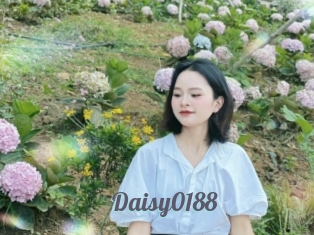 Daisy0188