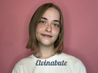 Elvinabute