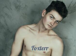 Foxterr