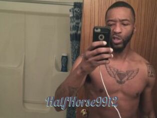 HalfHorse9912