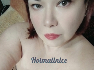 Hotmalinice