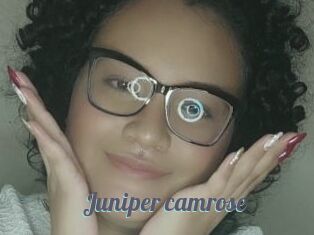 Juniper_camrose