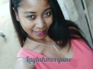 Laylahmorgane