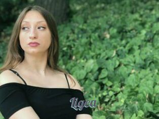 Ligea