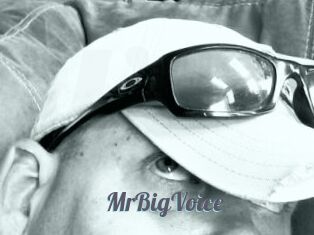 MrBigVoice