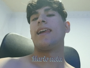 Mario_neta