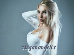 Meganangelix