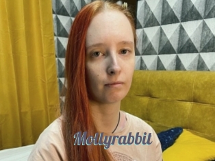 Mollyrabbit