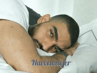 Narcisonefer