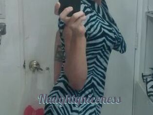Naughtyniceness