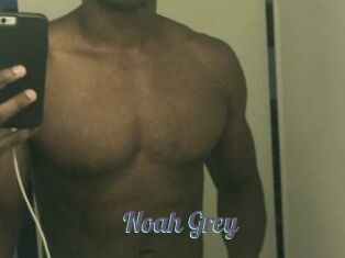 Noah_Grey