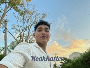 Noahkarter