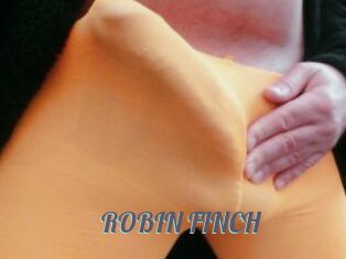 ROBIN_FINCH