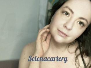 Selenacartery