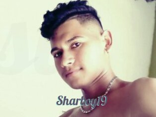 Sharboy19