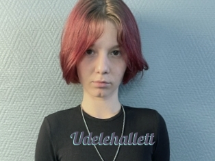 Udelehallett