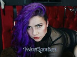 VelvetLambert