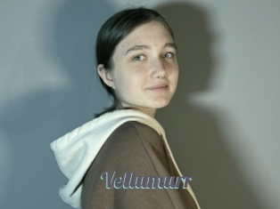 Vellumurr