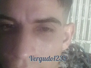 Vergudo1235